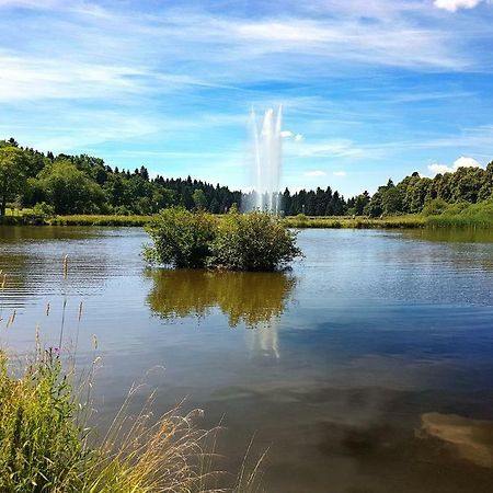 Ferienappartement Balbiani Hahnenklee-Harz Goslar Exteriér fotografie